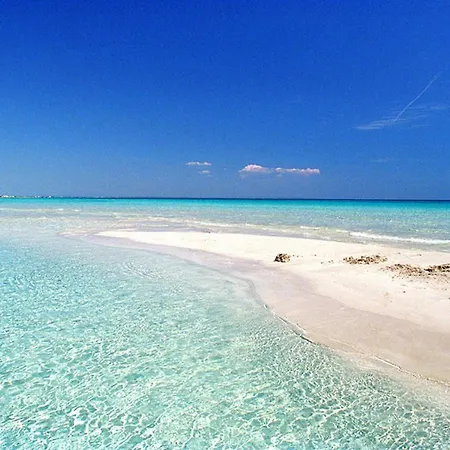 Casa Ezio 1 Fronte Mare A Punta Grossa Di Punta Prosciutto